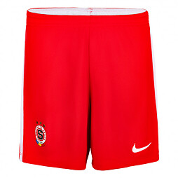 Šortky NIKE ACS tréninkové dětské červené:L